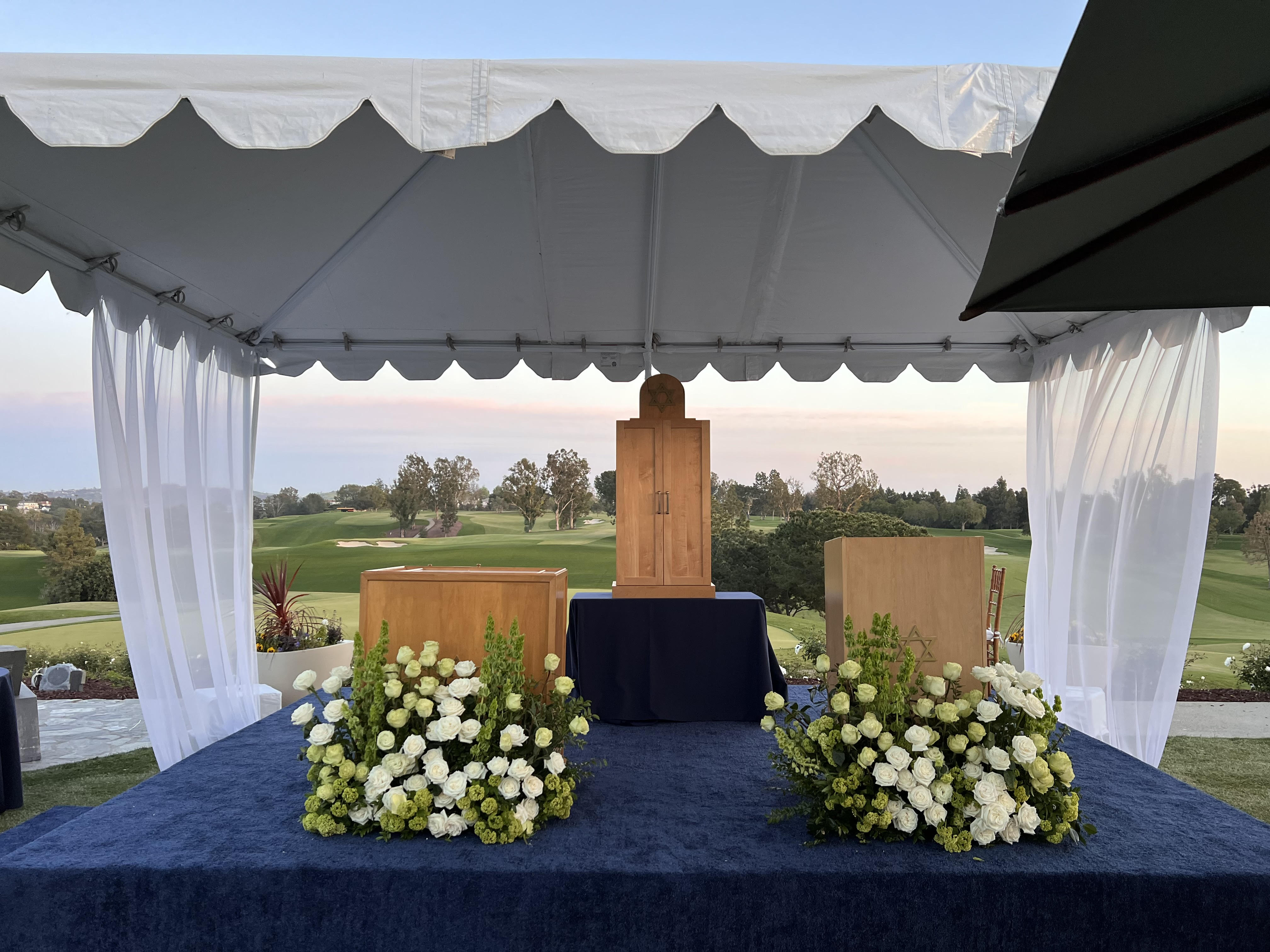 please contact us if you see any issues with our site